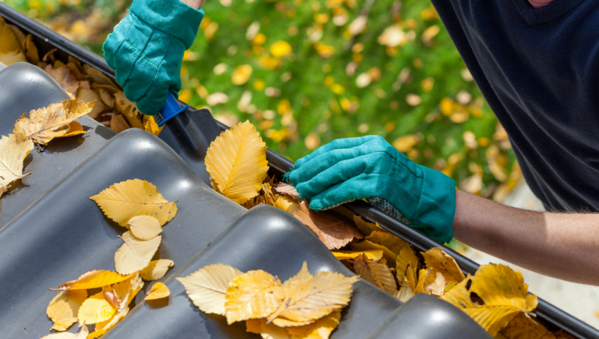 Cleaning leafs out of gutters on a house