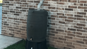 rain-collection-barrel