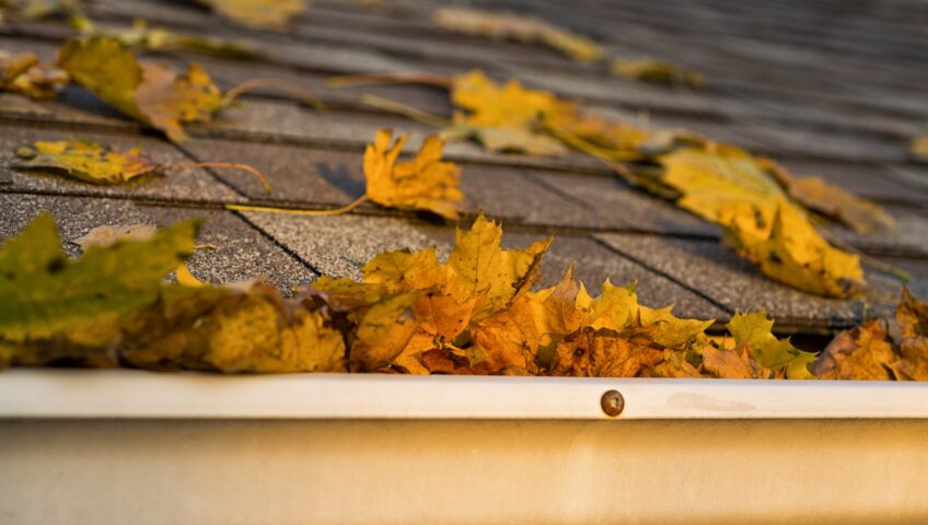 Cleaning Gutters in the Fall